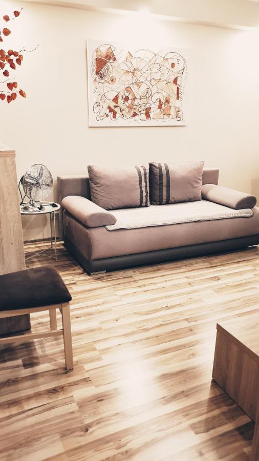 Wici 2 Apartments Teofilow Wodny Raj 우치 외부 사진